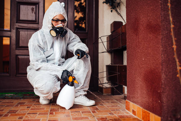 Reliable Wasp Removal contractor in Ypsilanti, MI by Show Me Pest Control
