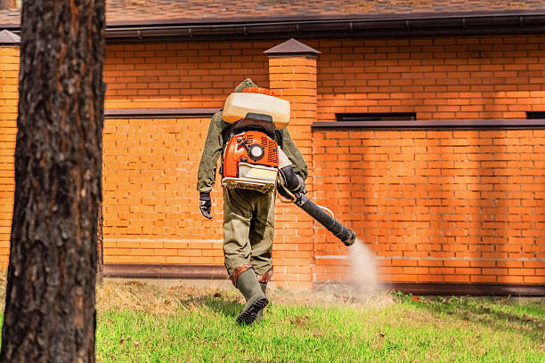 Top rated local Wasp Removal specialists in Ypsilanti, MI